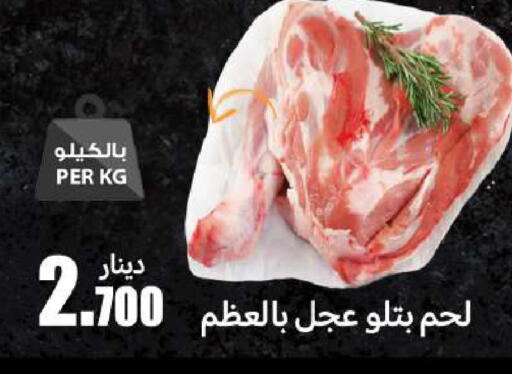 available at شركة سوق ميم المركزي  in الكويت - محافظة الأحمدي