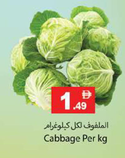Cabbage available at Gulf Hypermarket LLC in UAE - Ras al Khaimah