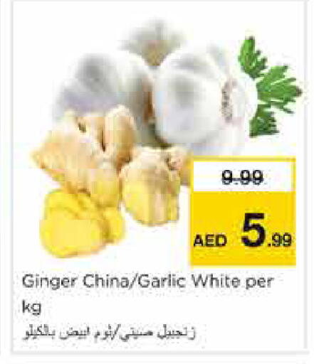 Ginger Garlic from China available at نستو هايبرماركت in الإمارات العربية المتحدة , الامارات - الشارقة / عجمان
