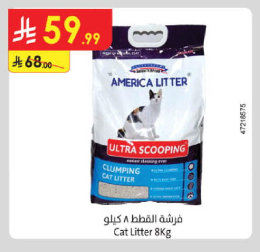 available at Danube in KSA, Saudi Arabia, Saudi - Ta'if