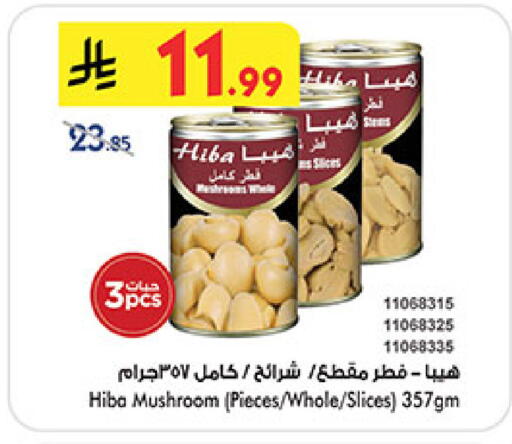 Mushroom available at بن داود in مملكة العربية السعودية, السعودية, سعودية - مكة المكرمة