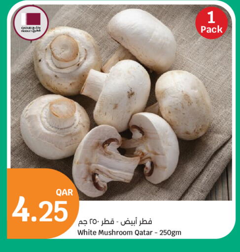 Mushroom from Qatar available at City Hypermarket in Qatar - Al Wakra