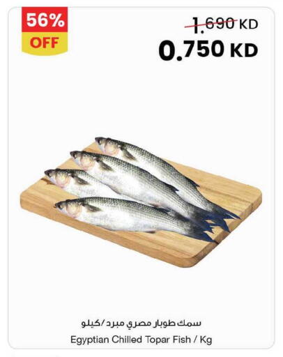 available at مركز سلطان in الكويت - محافظة الجهراء