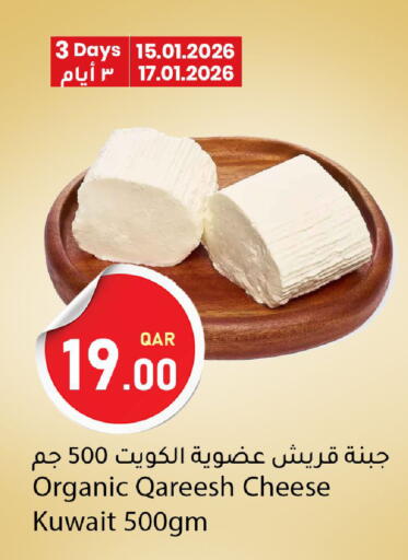 available at دانا ماركت in قطر - الشمال