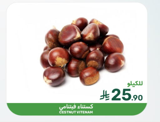 available at  مـزايــا in مملكة العربية السعودية, السعودية, سعودية - القطيف‎