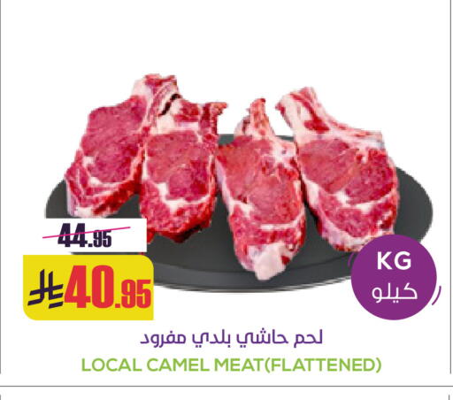 available at Sapt in KSA, Saudi Arabia, Saudi - Buraidah