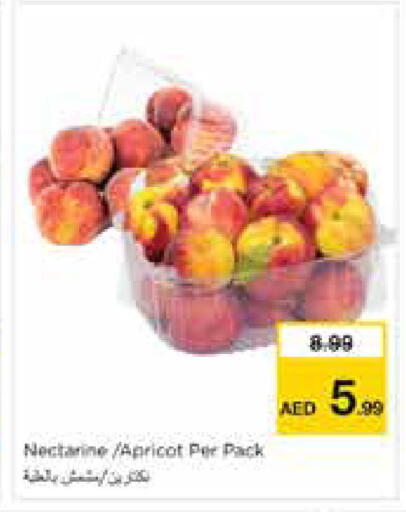 Nectarine Apricot available at Nesto Hypermarket in UAE - Sharjah / Ajman