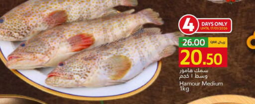 available at جلف فود سنتر in قطر - الريان