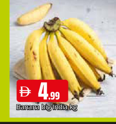 Banana from India available at المدينة in الإمارات العربية المتحدة , الامارات - الشارقة / عجمان