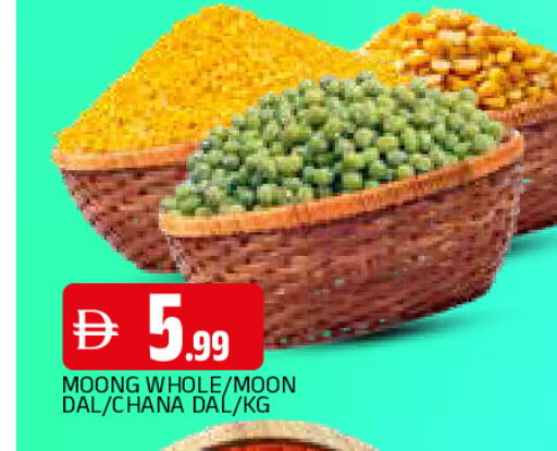 available at المدينة in الإمارات العربية المتحدة , الامارات - الشارقة / عجمان