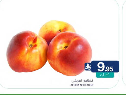 Nectarine available at Muntazah Markets in KSA, Saudi Arabia, Saudi - Qatif