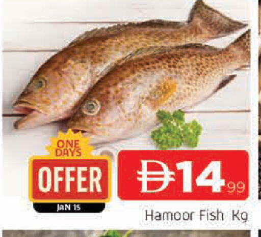 available at AL MADINA in UAE - Sharjah / Ajman