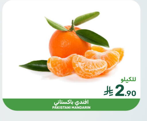 Mandarin available at Mazaya in KSA, Saudi Arabia, Saudi - Saihat