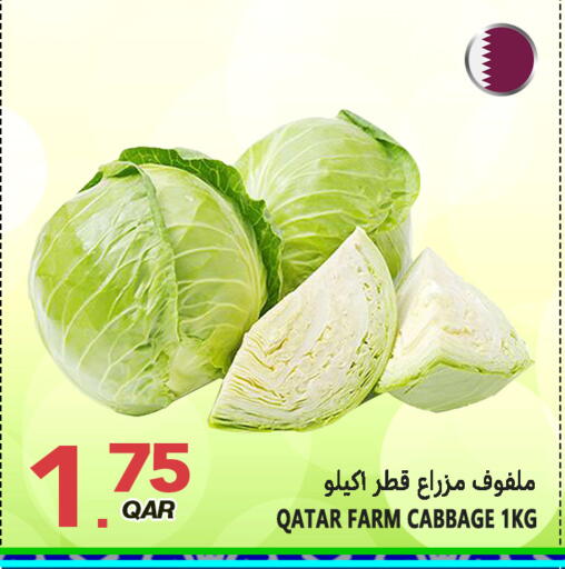 Cabbage from Qatar available at قصر الأغذية هايبرماركت in قطر - الدوحة