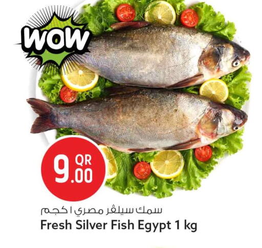 available at Safari Hypermarket in Qatar - Doha