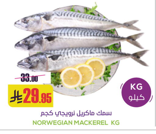 available at Sapt in KSA, Saudi Arabia, Saudi - Buraidah