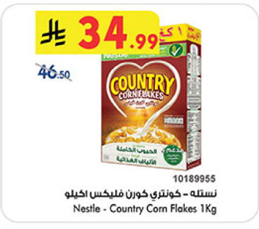 available at بن داود in مملكة العربية السعودية, السعودية, سعودية - خميس مشيط