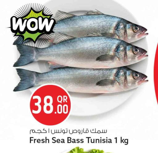 available at Safari Hypermarket in Qatar - Doha