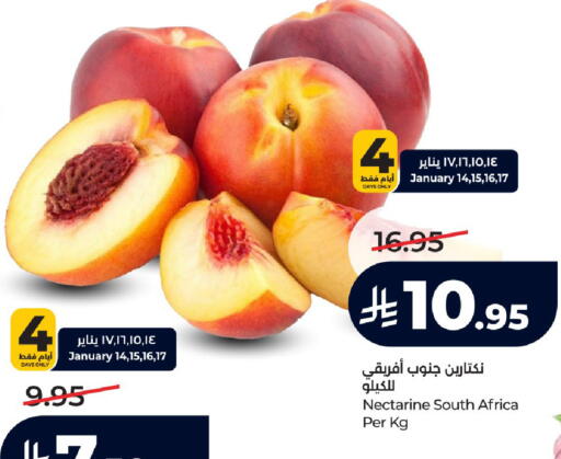 Nectarine from South Africa available at لولو هايبرماركت in مملكة العربية السعودية, السعودية, سعودية - حائل‎