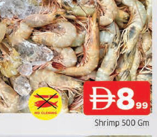 available at المدينة in الإمارات العربية المتحدة , الامارات - الشارقة / عجمان