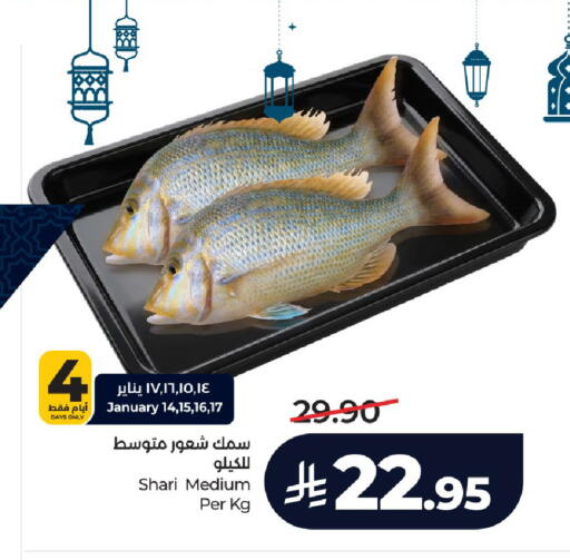 available at لولو هايبرماركت in مملكة العربية السعودية, السعودية, سعودية - الخرج