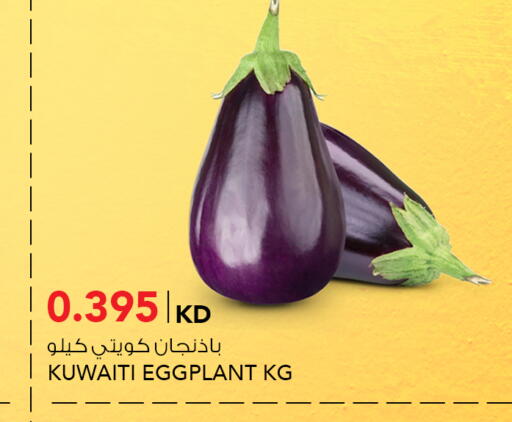 Eggplant available at النصر هايبر ماركت in الكويت - محافظة الأحمدي