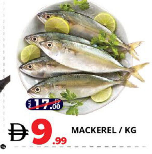 available at اكسبرس المدينة هايبرماركت in الإمارات العربية المتحدة , الامارات - أبو ظبي