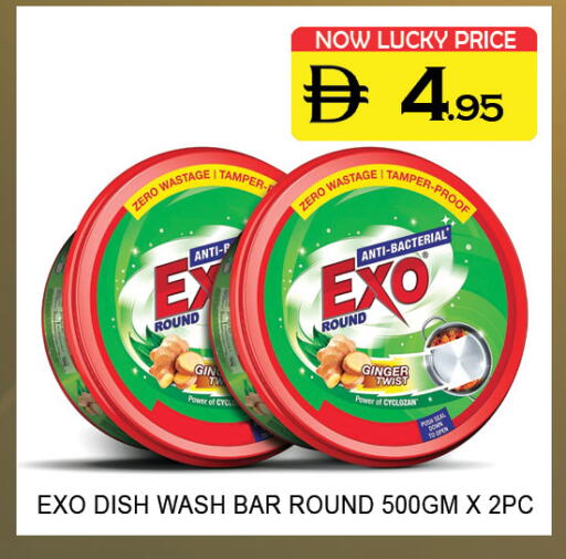 Ginger available at لكي سنتر in الإمارات العربية المتحدة , الامارات - الشارقة / عجمان