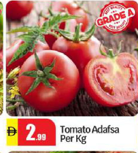 Tomato available at بيج مارت in الإمارات العربية المتحدة , الامارات - أبو ظبي