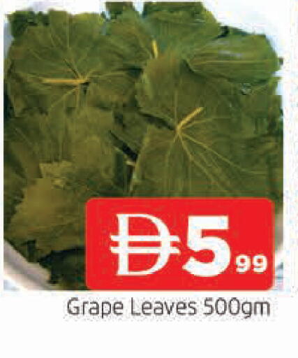 available at AL MADINA in UAE - Sharjah / Ajman