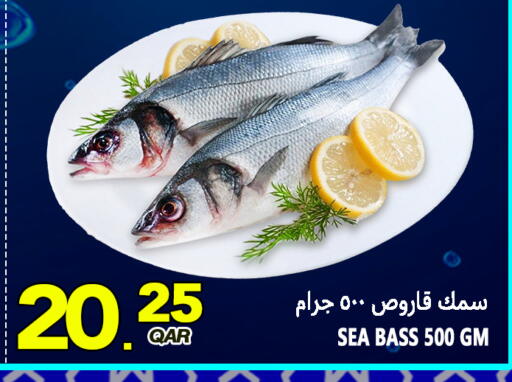 available at قصر الأغذية هايبرماركت in قطر - أم صلال