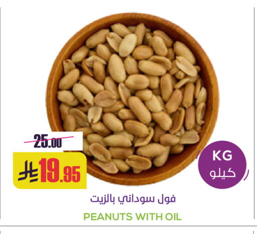 available at Sapt in KSA, Saudi Arabia, Saudi - Buraidah