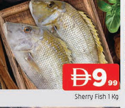 available at AL MADINA in UAE - Sharjah / Ajman