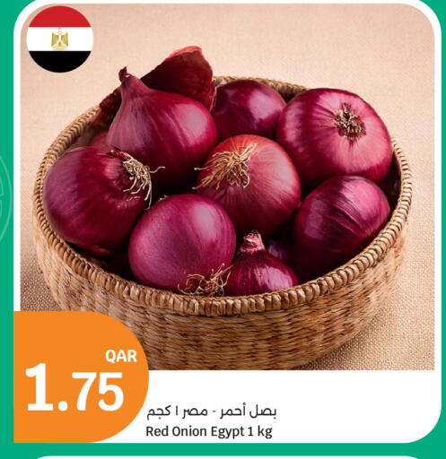 Onion from Egypt available at سيتي هايبرماركت in قطر - الشحانية