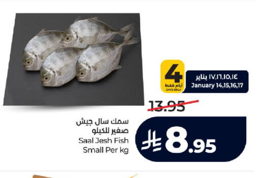 available at LULU Hypermarket in KSA, Saudi Arabia, Saudi - Tabuk