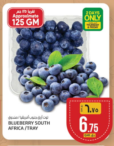 Blueberry BlueBerry from South Africa available at كنز ميني مارت in قطر - الخور