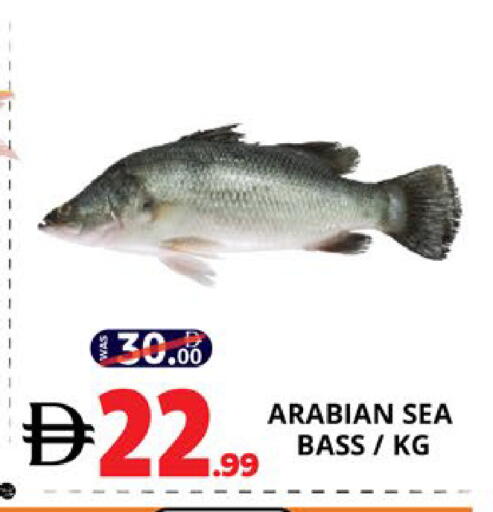 available at اكسبرس المدينة هايبرماركت in الإمارات العربية المتحدة , الامارات - أبو ظبي