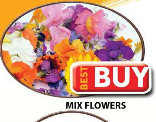 available at جراند هايبر ماركت in الإمارات العربية المتحدة , الامارات - دبي