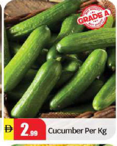 Cucumber available at بيج مارت in الإمارات العربية المتحدة , الامارات - أبو ظبي