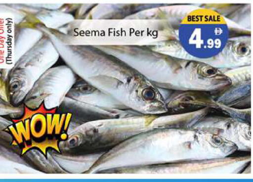 available at Gulf Hypermarket LLC in UAE - Ras al Khaimah