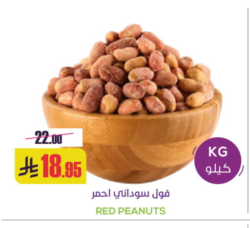 available at Sapt in KSA, Saudi Arabia, Saudi - Buraidah