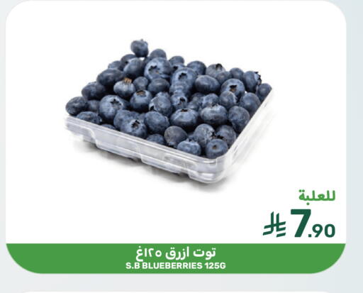 available at  مـزايــا in مملكة العربية السعودية, السعودية, سعودية - سيهات