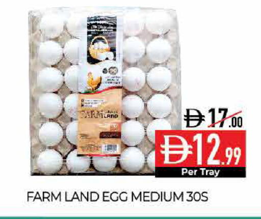 available at Delice Supermarket in UAE - Abu Dhabi