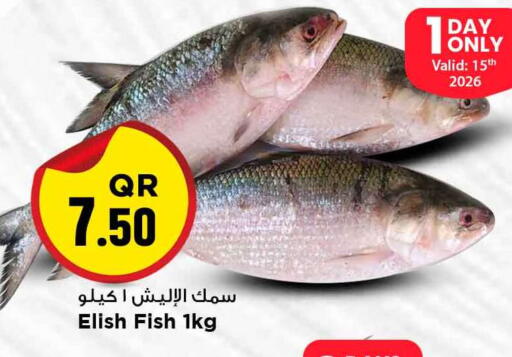 available at Marza Hypermarket in Qatar - Al-Shahaniya
