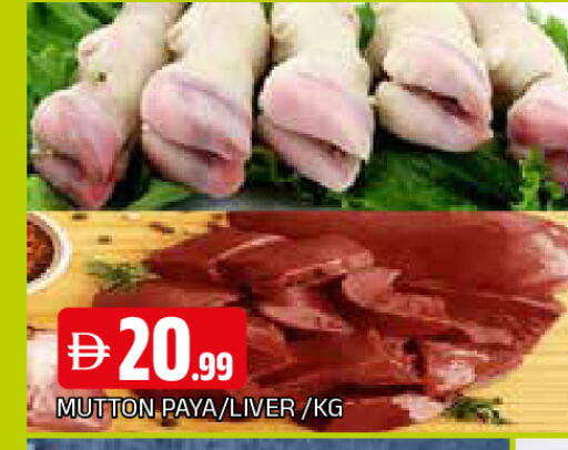 available at المدينة in الإمارات العربية المتحدة , الامارات - الشارقة / عجمان