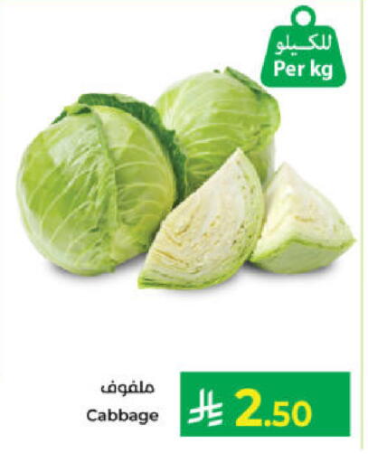 Cabbage available at Kabayan Hypermarket in KSA, Saudi Arabia, Saudi - Yanbu