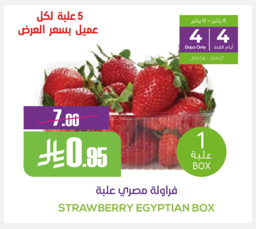 Strawberry from Egypt available at سبت in مملكة العربية السعودية, السعودية, سعودية - بريدة