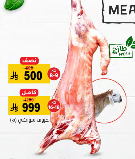 available at Al Amer Market in KSA, Saudi Arabia, Saudi - Al Hasa