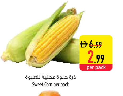 available at Safeer Market in UAE - Al Ain