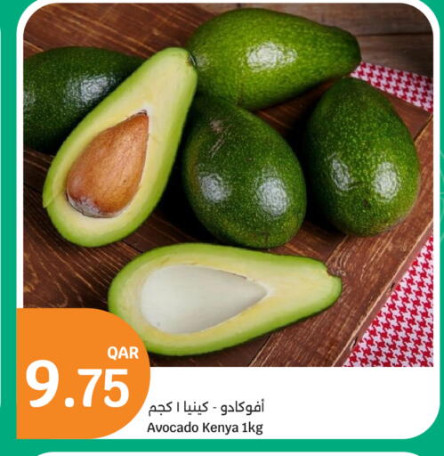 Avocado from Kenya available at سيتي هايبرماركت in قطر - الوكرة
